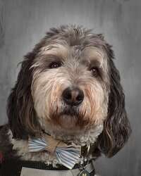 Gus
